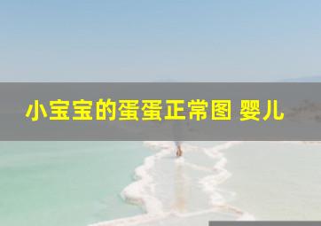 小宝宝的蛋蛋正常图 婴儿